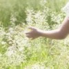 2013.6.27 Holding Loosely