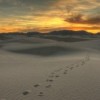 Taking Steps Forward, Destination (Un)Known